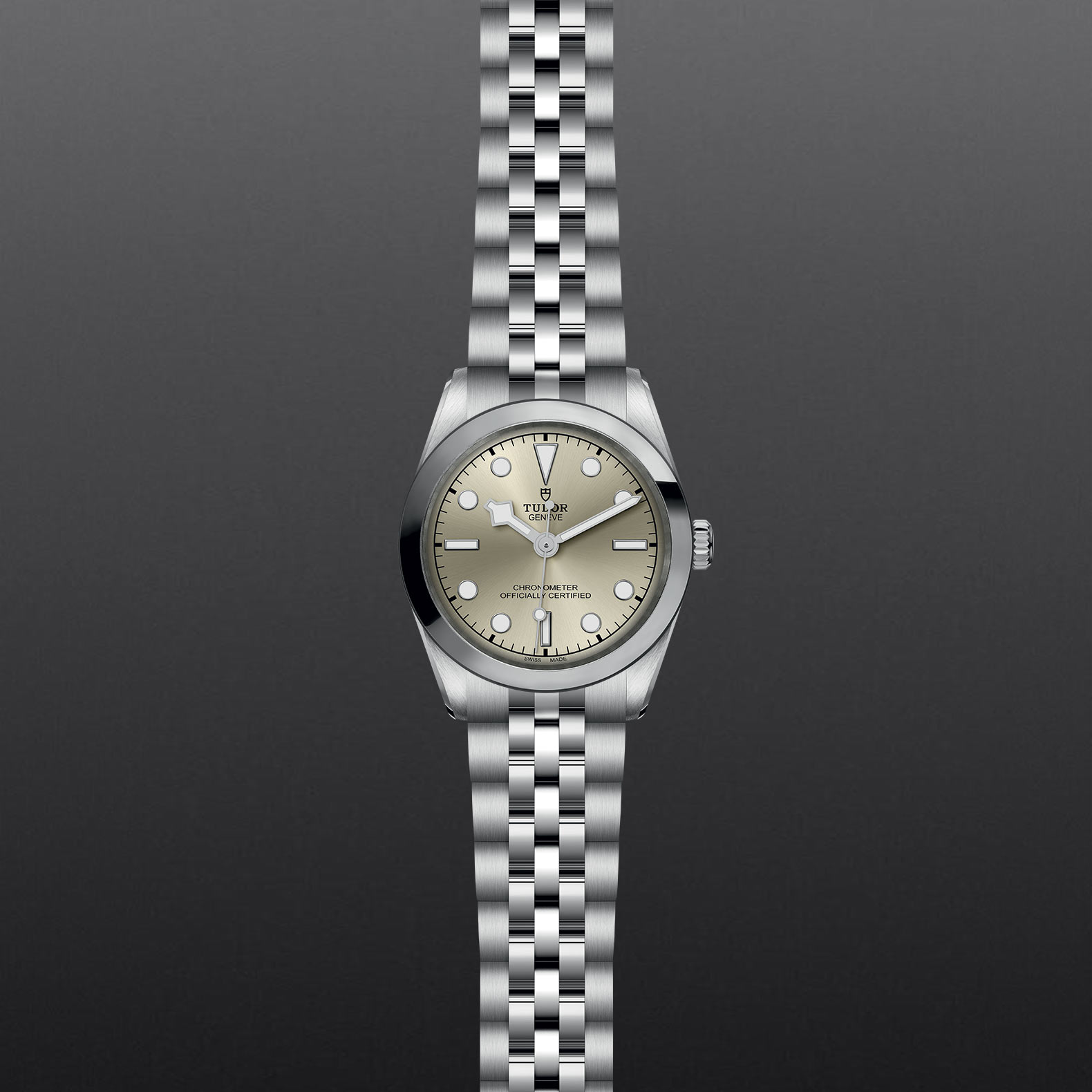 Black Bay 31 M79600-0003