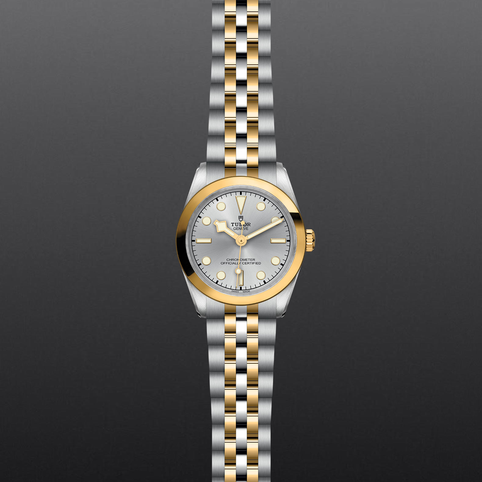 Black Bay 31 S&G M79603-0002