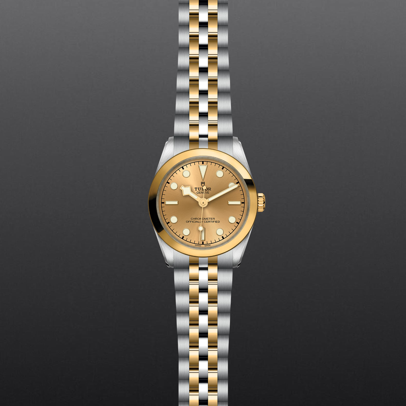 Black Bay 31 S&G M79603-0005